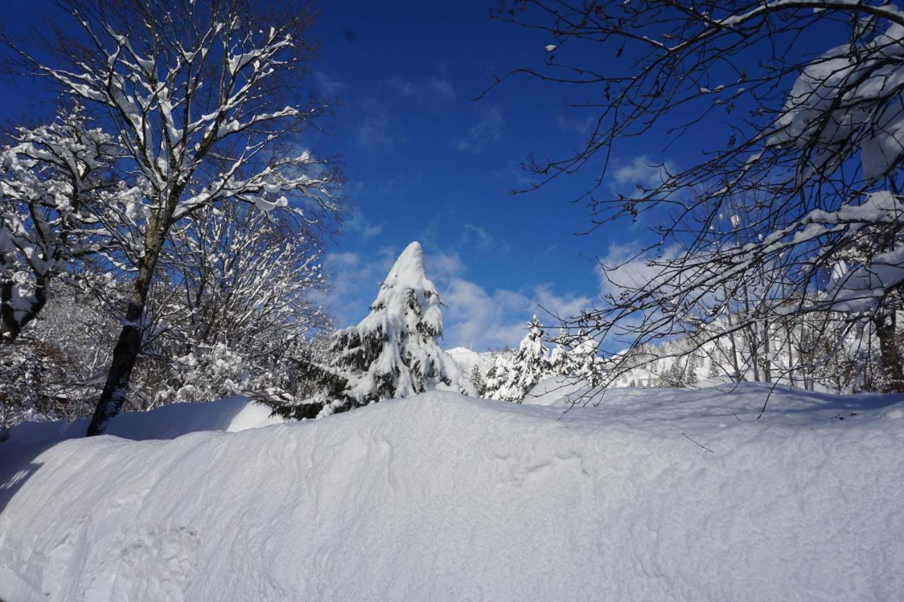 Haus Sonnenblick Hotel Bayrischzell Esterno foto